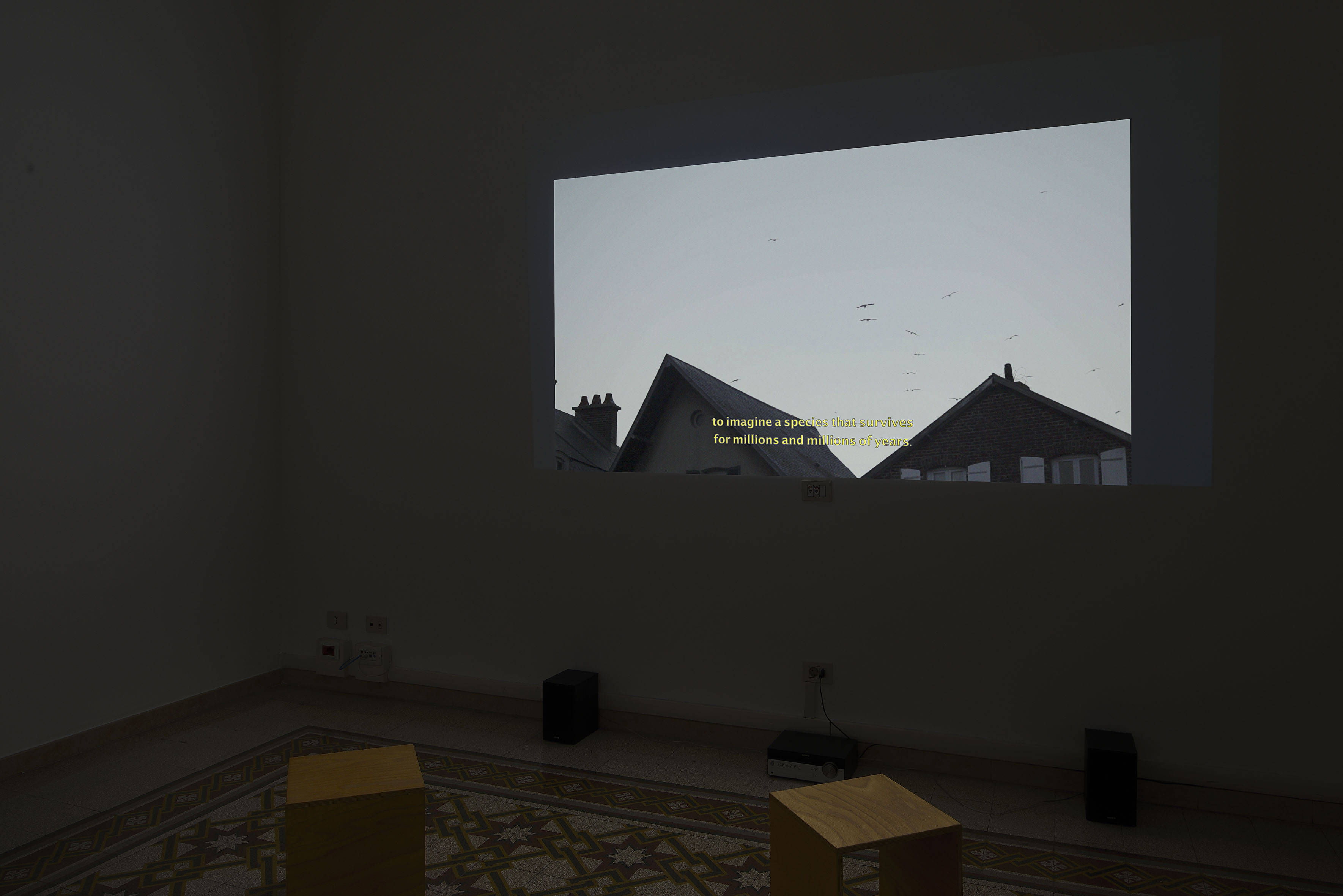 Baleno International