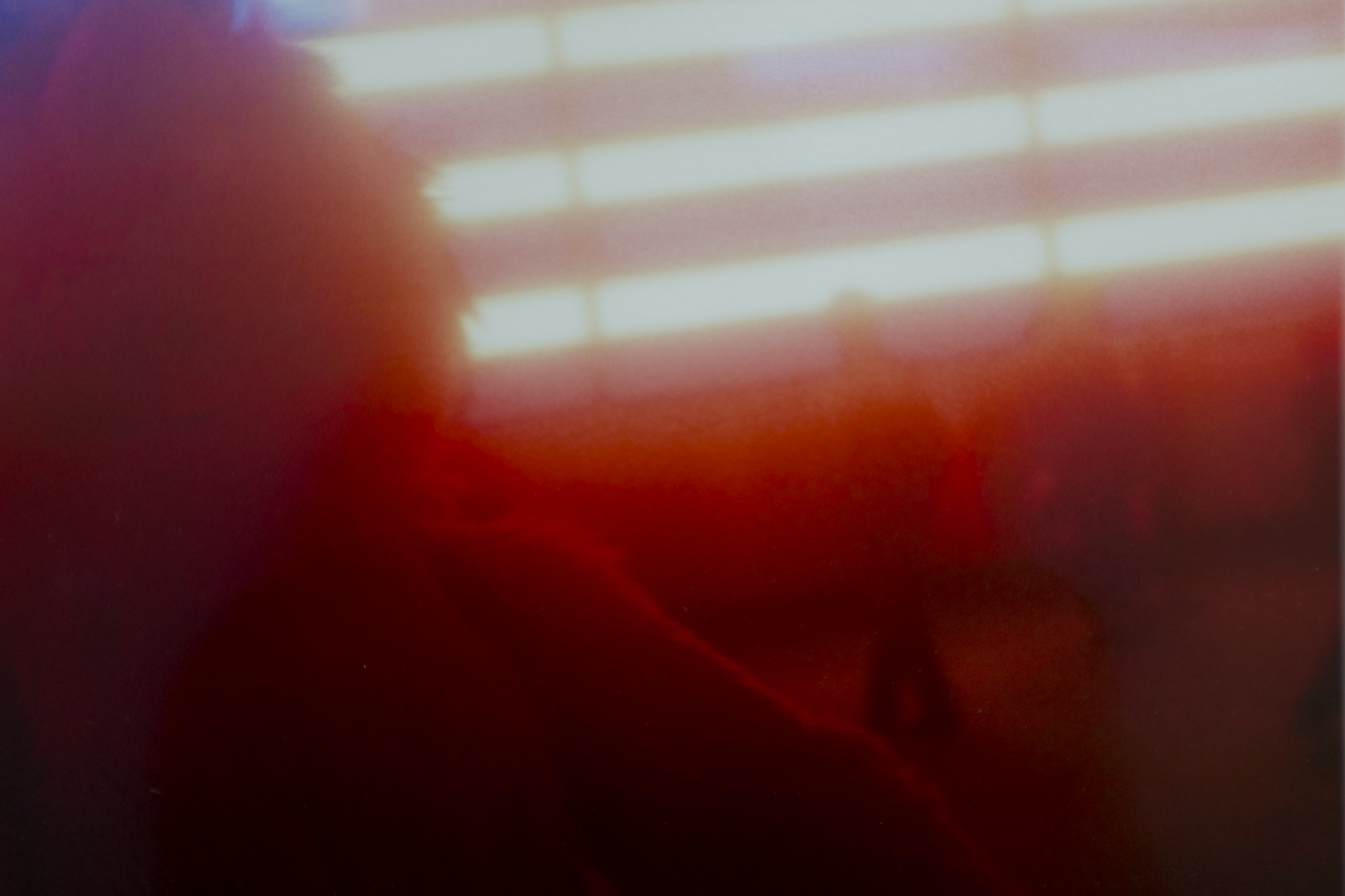 Baleno International