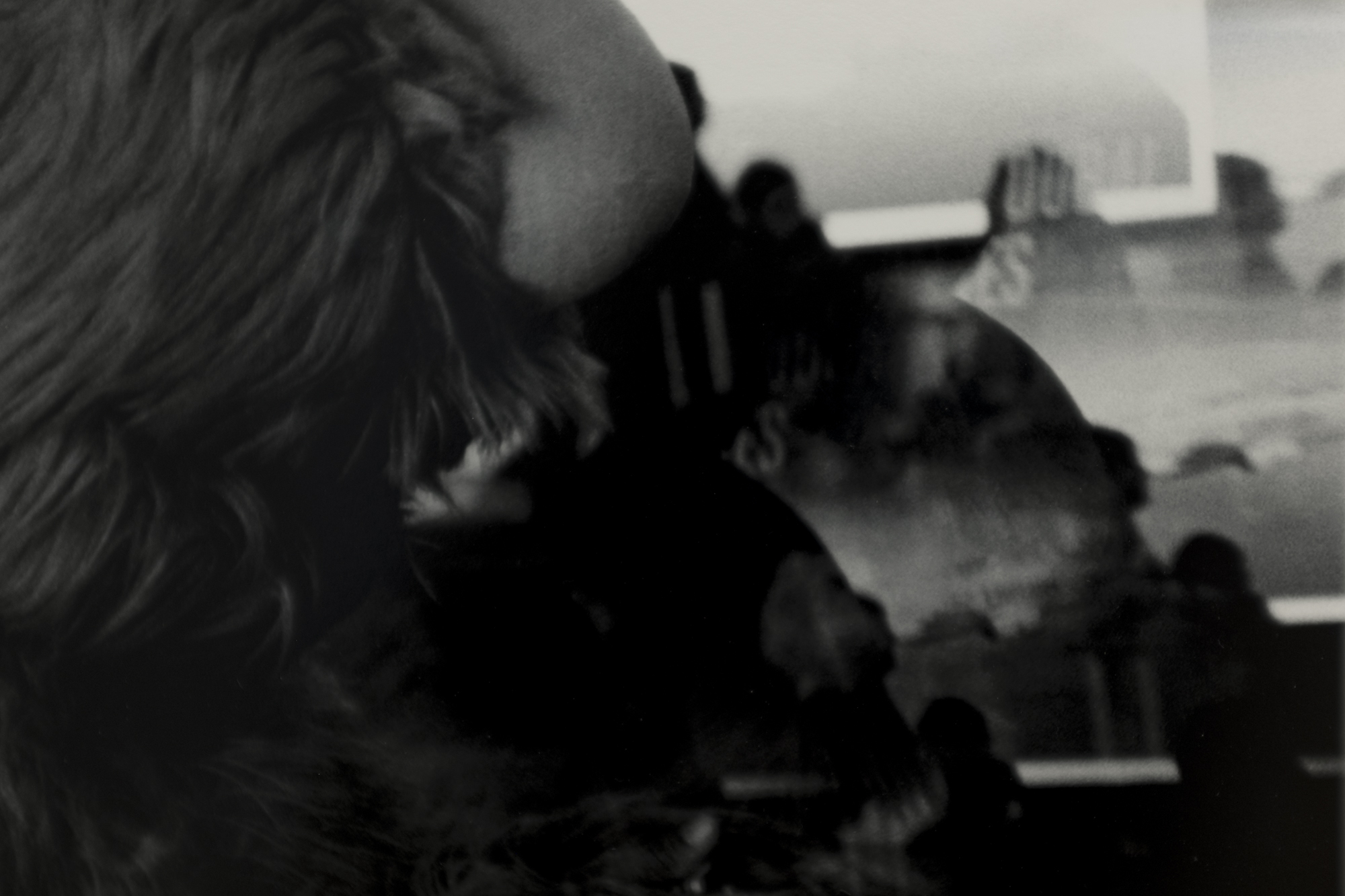 Baleno International