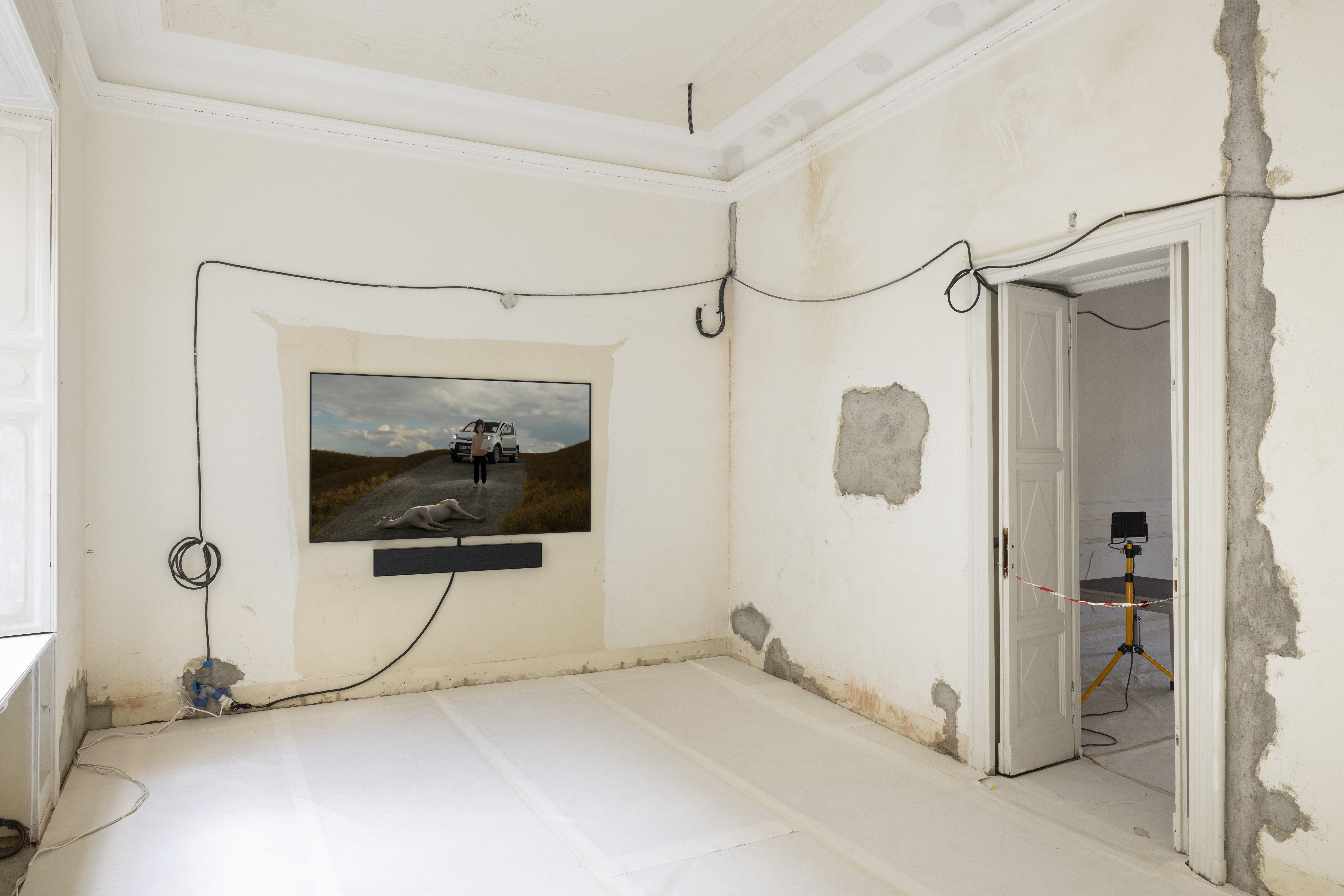 Baleno International