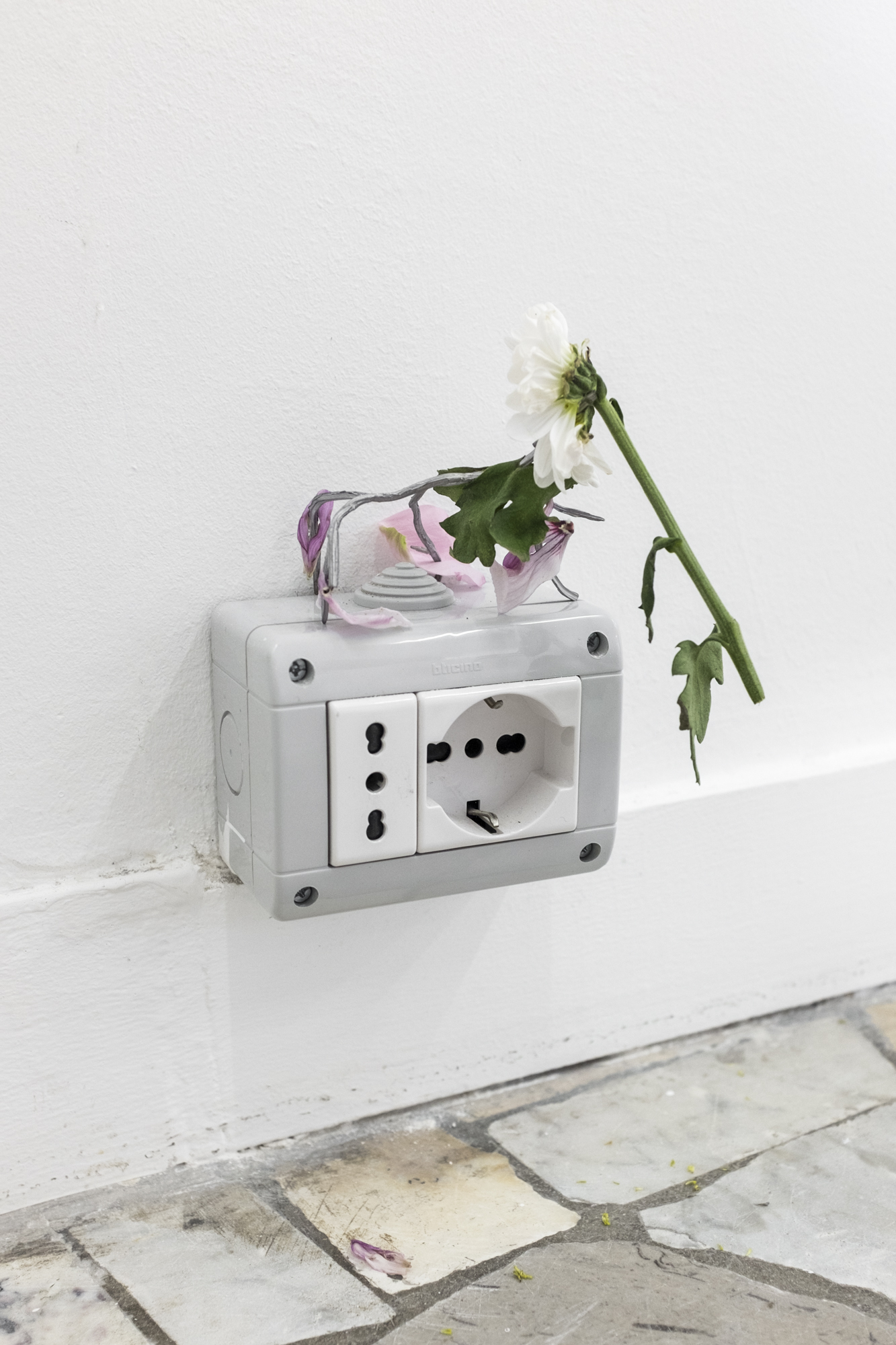 Baleno International