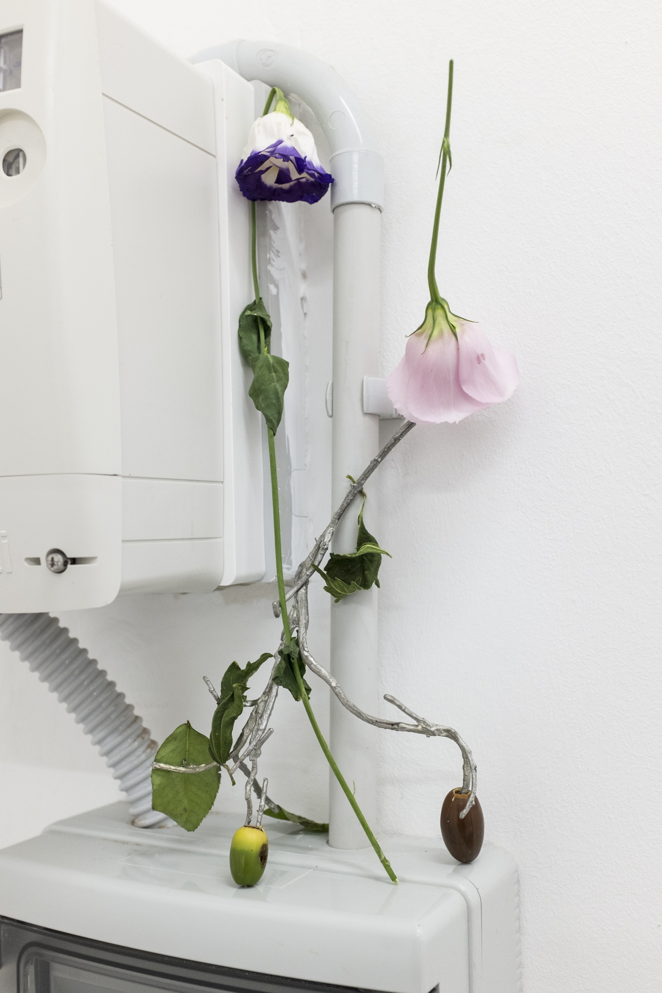 Baleno International