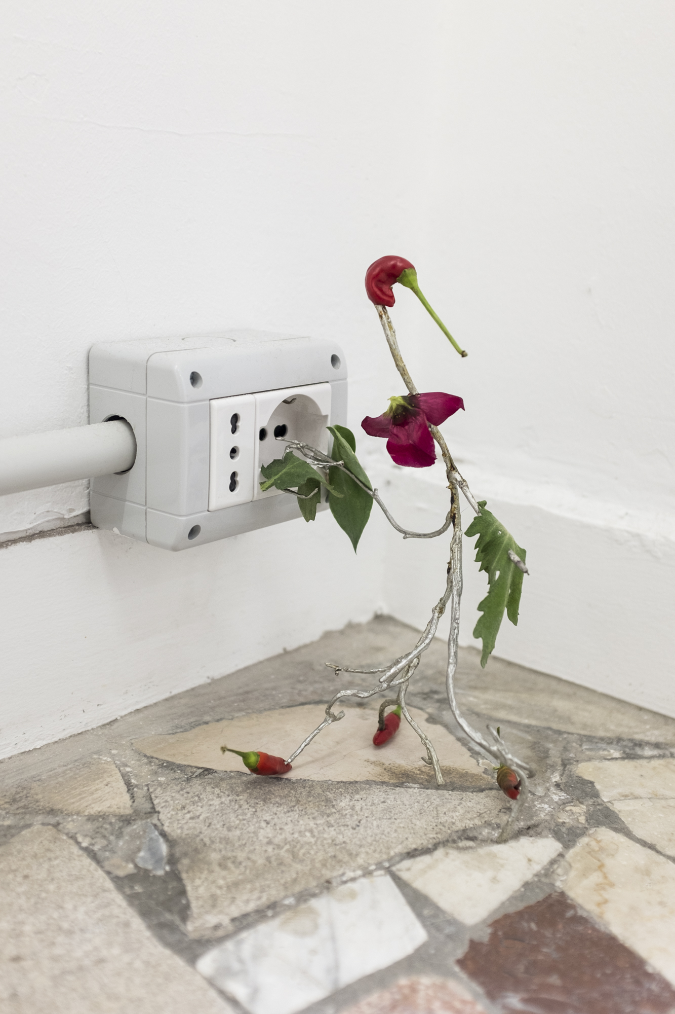 Baleno International