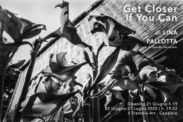 Baleno International